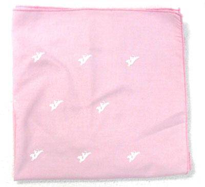 BULLRUSH LOGO BANDANNA